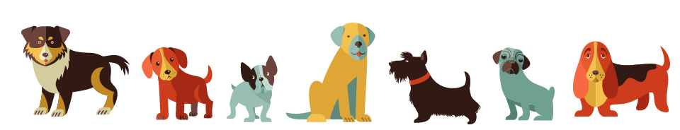 Paws pet services Dog walking