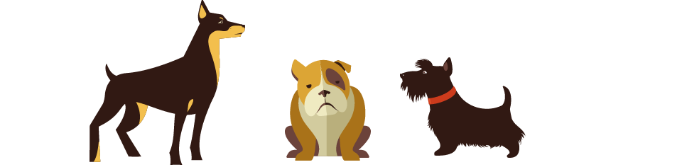 Paws pet services Dog walking